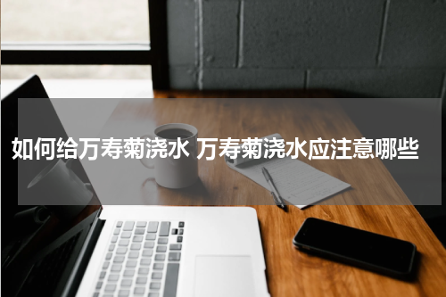 如何给万寿菊浇水 万寿菊浇水应注意哪些