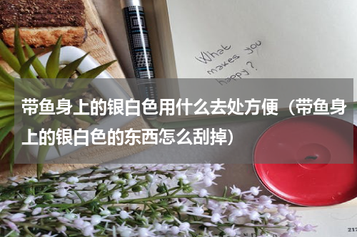 带鱼身上的银白色用什么去处方便（带鱼身上的银白色的东西怎么刮掉）