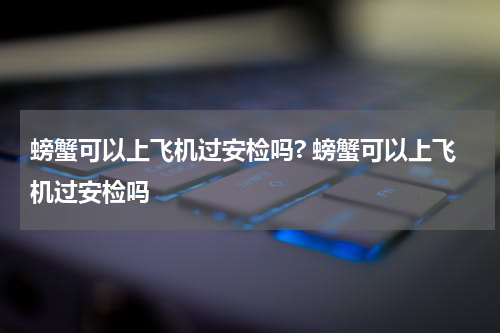螃蟹可以上飞机过安检吗? 螃蟹可以上飞机过安检吗