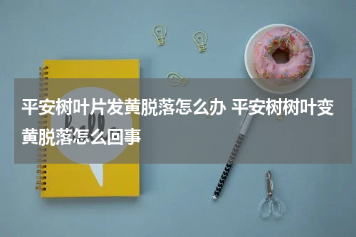 平安树叶片发黄脱落怎么办 平安树树叶变黄脱落怎么回事