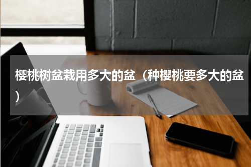 樱桃树盆栽用多大的盆（种樱桃要多大的盆）