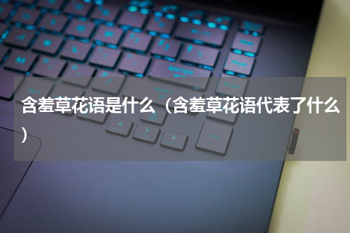 含羞草花语是什么（含羞草花语代表了什么）