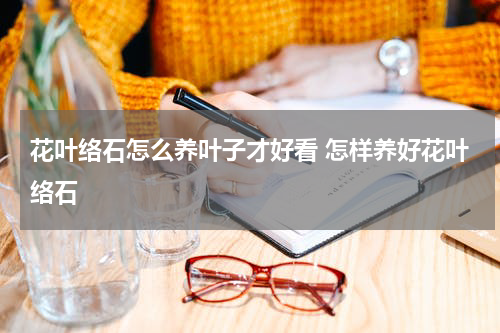 花叶络石怎么养叶子才好看 怎样养好花叶络石