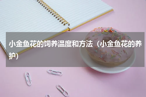 小金鱼花的饲养温度和方法（小金鱼花的养护）