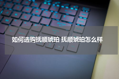 如何选购抚顺琥珀 抚顺琥珀怎么样