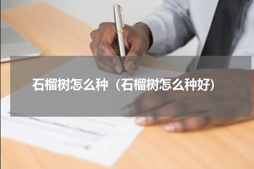 石榴树怎么种（石榴树怎么种好）