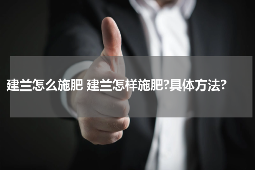 建兰怎么施肥 建兰怎样施肥?具体方法?