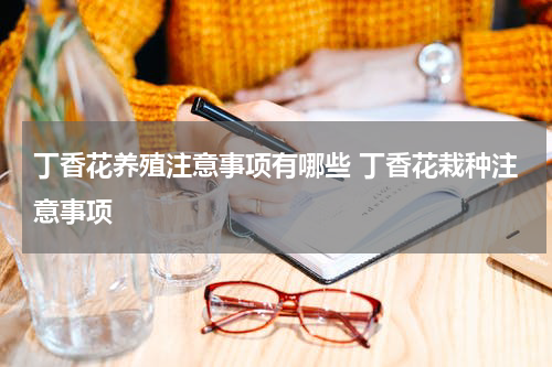 丁香花养殖注意事项有哪些 丁香花栽种注意事项