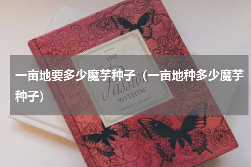 一亩地要多少魔芋种子（一亩地种多少魔芋种子）