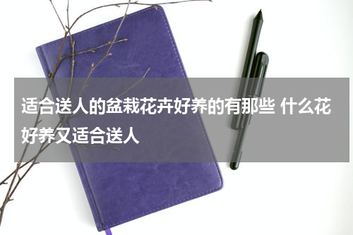 适合送人的盆栽花卉好养的有那些 什么花好养又适合送人