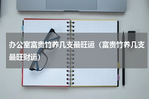 办公室富贵竹养几支最旺运（富贵竹养几支最旺财运）