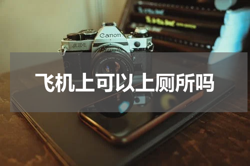 飞机上可以上厕所吗