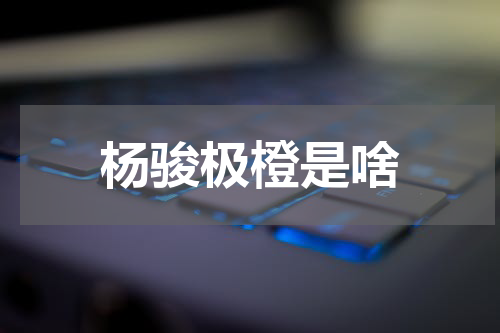 杨骏极橙是啥