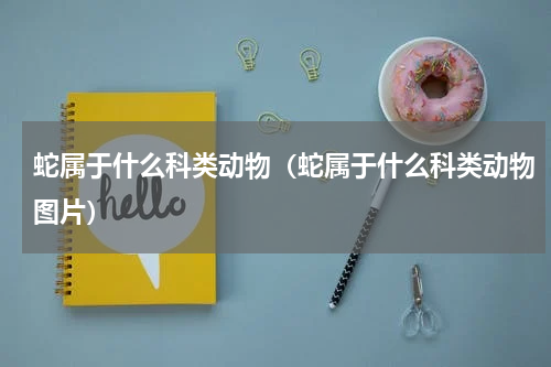 蛇属于什么科类动物（蛇属于什么科类动物图片）