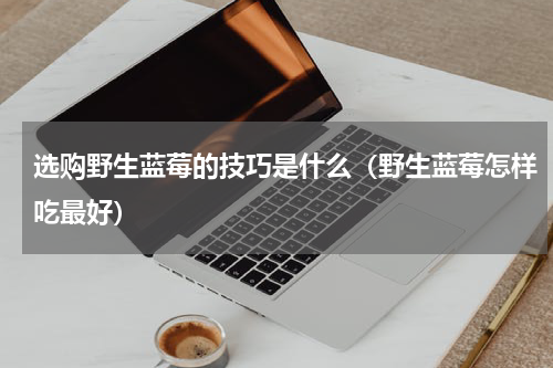 选购野生蓝莓的技巧是什么（野生蓝莓怎样吃最好）