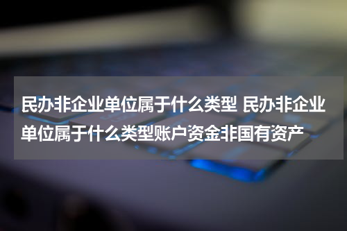 民办非企业单位属于什么类型 民办非企业单位属于什么类型账户资金非国有资产