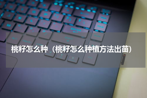 桃籽怎么种（桃籽怎么种植方法出苗）