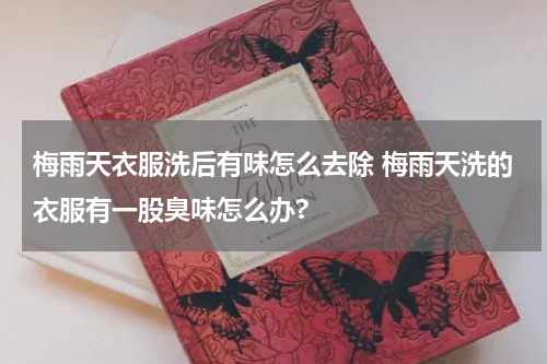 梅雨天衣服洗后有味怎么去除 梅雨天洗的衣服有一股臭味怎么办?