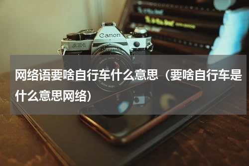 网络语要啥自行车什么意思（要啥自行车是什么意思网络）