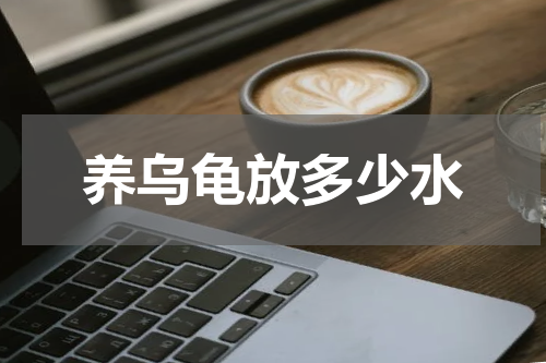 养乌龟放多少水