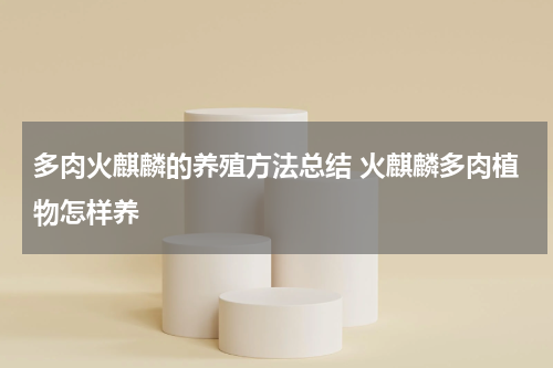 多肉火麒麟的养殖方法总结 火麒麟多肉植物怎样养