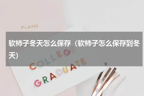 软柿子冬天怎么保存（软柿子怎么保存到冬天）