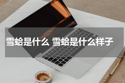 雪蛤是什么 雪蛤是什么样子
