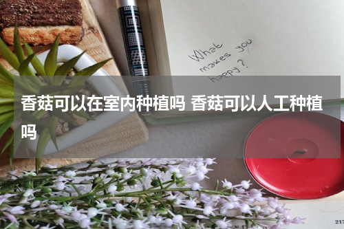 香菇可以在室内种植吗 香菇可以人工种植吗