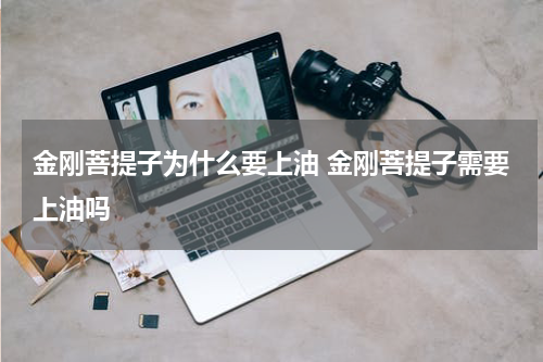 金刚菩提子为什么要上油 金刚菩提子需要上油吗