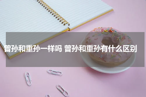 曾孙和重孙一样吗 曾孙和重孙有什么区别