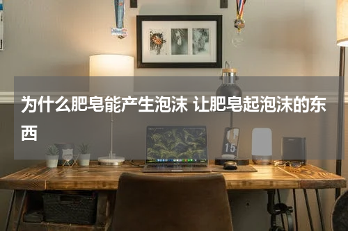 为什么肥皂能产生泡沫 让肥皂起泡沫的东西