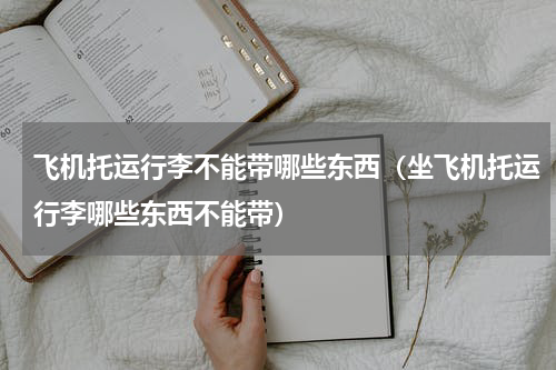 飞机托运行李不能带哪些东西（坐飞机托运行李哪些东西不能带）