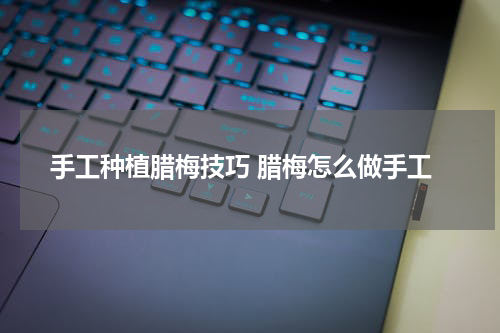 手工种植腊梅技巧 腊梅怎么做手工