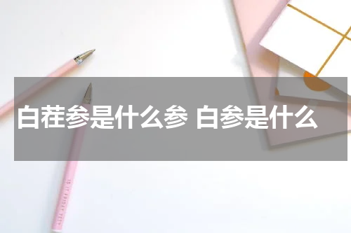 白茬参是什么参 白参是什么
