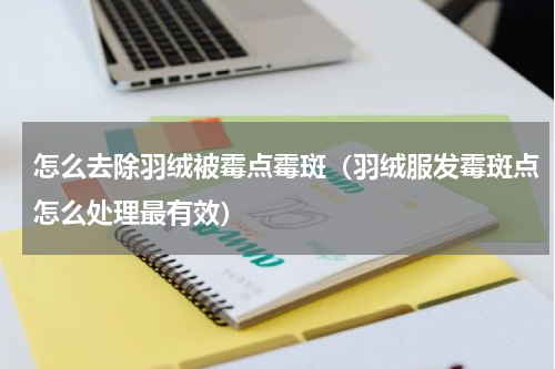 怎么去除羽绒被霉点霉斑（羽绒服发霉斑点怎么处理最有效）