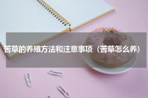 苦草的养殖方法和注意事项（苦草怎么养）