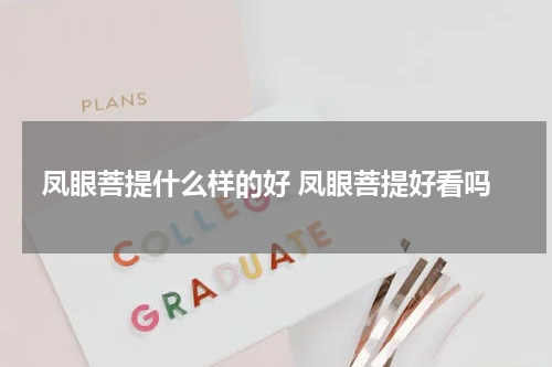 凤眼菩提什么样的好 凤眼菩提好看吗