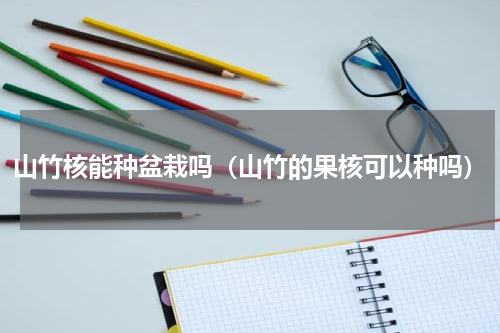 山竹核能种盆栽吗（山竹的果核可以种吗）