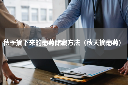 秋季摘下来的葡萄储藏方法（秋天摘葡萄）