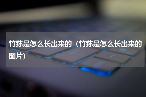 竹荪是怎么长出来的（竹荪是怎么长出来的图片）