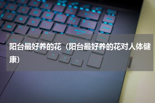 阳台最好养的花（阳台最好养的花对人体健康）