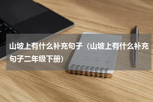 山坡上有什么补充句子（山坡上有什么补充句子二年级下册）