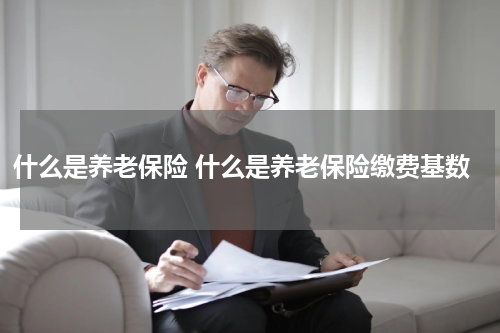 什么是养老保险 什么是养老保险缴费基数