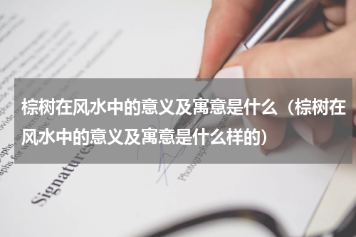 棕树在风水中的意义及寓意是什么（棕树在风水中的意义及寓意是什么样的）