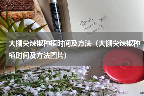 大棚尖辣椒种植时间及方法（大棚尖辣椒种植时间及方法图片）