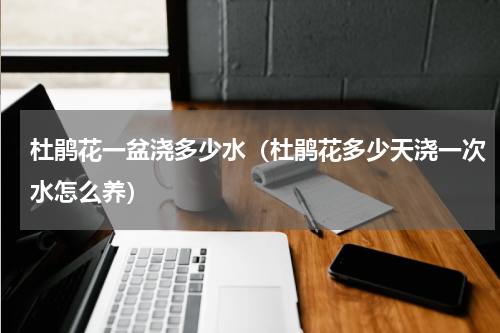 杜鹃花一盆浇多少水（杜鹃花多少天浇一次水怎么养）