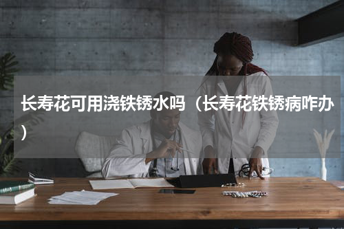 长寿花可用浇铁锈水吗（长寿花铁锈病咋办）