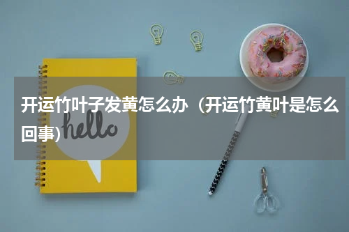 开运竹叶子发黄怎么办（开运竹黄叶是怎么回事）