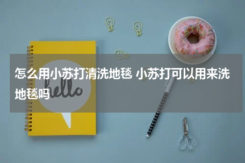 怎么用小苏打清洗地毯 小苏打可以用来洗地毯吗