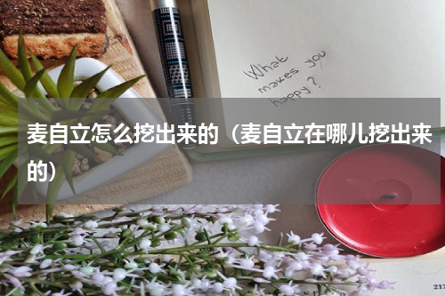 麦自立怎么挖出来的（麦自立在哪儿挖出来的）